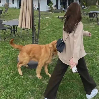 这不是一部电影 海报